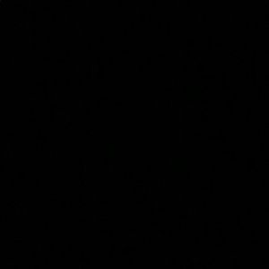 Meet your Posher, Xavier